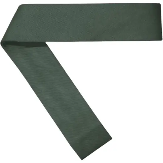 FWRD Hat Band Green